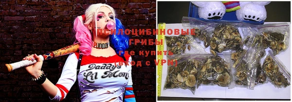 герыч Алзамай