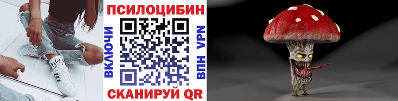 Псилоцибиновые грибы Cubensis Бокситогорск