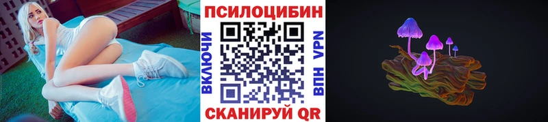 Псилоцибиновые грибы мицелий Бокситогорск